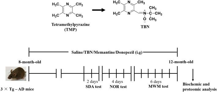 https://cdn.ncbi.nlm.nih.gov/pmc/blobs/7452/10025301/a2fda39cbfb1/fphar-14-1082602-g003.jpg