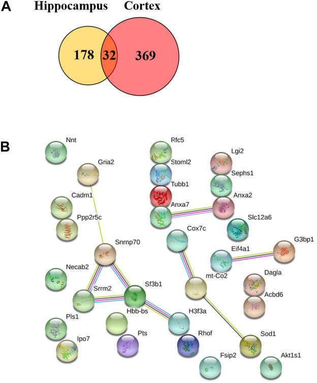 https://cdn.ncbi.nlm.nih.gov/pmc/blobs/7452/10025301/aa1546099e2c/fphar-14-1082602-g009.jpg