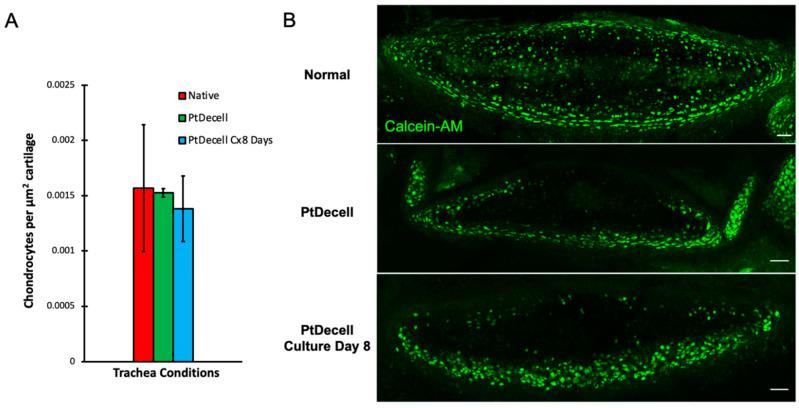 https://cdn.ncbi.nlm.nih.gov/pmc/blobs/7453/8947657/58ab20ae2cb8/cells-11-01027-g008.jpg