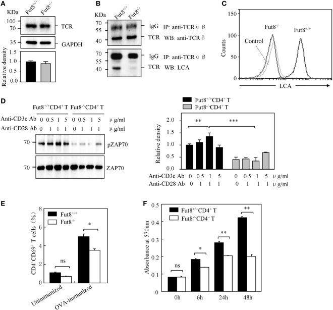 https://cdn.ncbi.nlm.nih.gov/pmc/blobs/7456/5796888/fbf0d3522af0/fimmu-09-00078-g004.jpg
