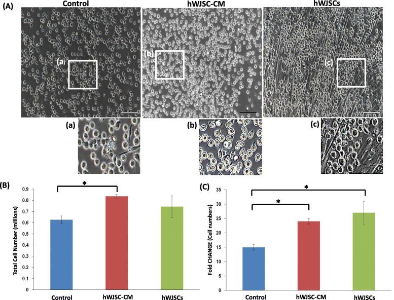 https://cdn.ncbi.nlm.nih.gov/pmc/blobs/7458/7724853/bbde845141a0/13287_2020_2048_Fig3_HTML.jpg