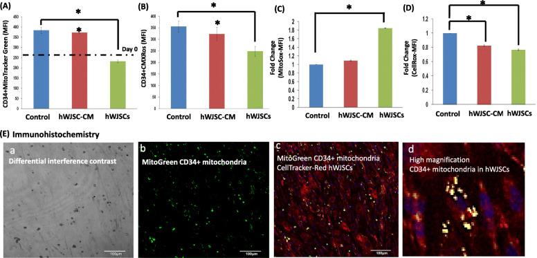 https://cdn.ncbi.nlm.nih.gov/pmc/blobs/7458/7724853/bd16f1043d24/13287_2020_2048_Fig6_HTML.jpg
