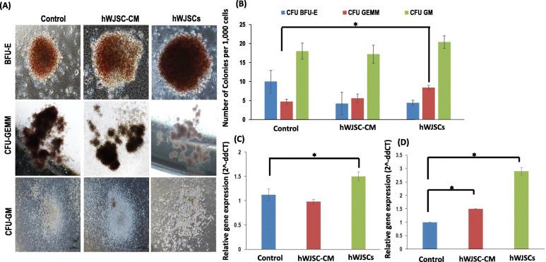 https://cdn.ncbi.nlm.nih.gov/pmc/blobs/7458/7724853/d4650d963eb9/13287_2020_2048_Fig4_HTML.jpg