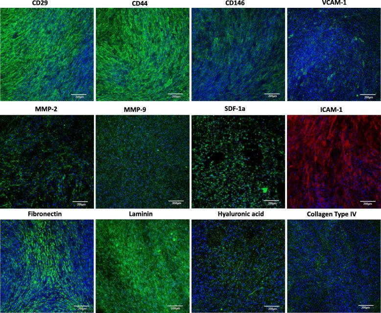https://cdn.ncbi.nlm.nih.gov/pmc/blobs/7458/7724853/dac51b785e78/13287_2020_2048_Fig2_HTML.jpg