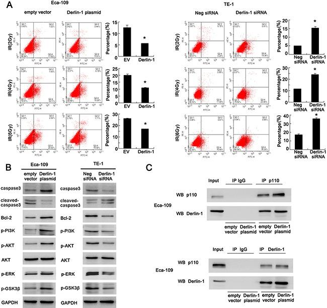 https://cdn.ncbi.nlm.nih.gov/pmc/blobs/745a/5589647/dc2cc2044160/oncotarget-08-55135-g004.jpg