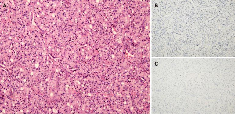 https://cdn.ncbi.nlm.nih.gov/pmc/blobs/745f/8281426/254465160f38/WJCC-9-5637-g003.jpg