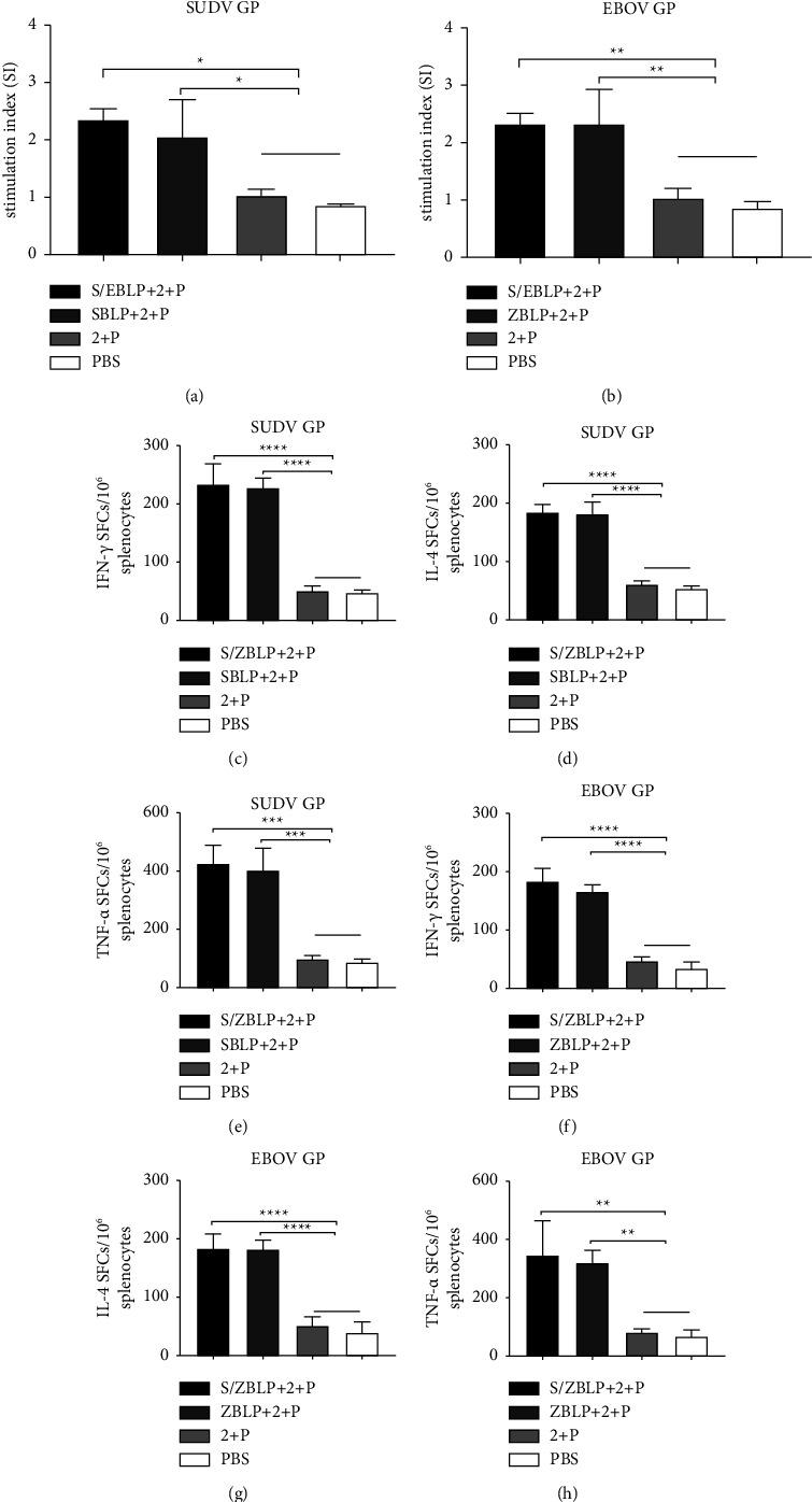 https://cdn.ncbi.nlm.nih.gov/pmc/blobs/7461/12017122/bcbfd660b62f/TBED2023-9248581.006.jpg