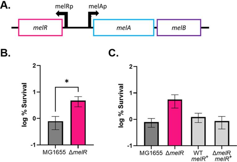 https://cdn.ncbi.nlm.nih.gov/pmc/blobs/7461/8725577/95ad38483982/mbio.03420-21-f006.jpg