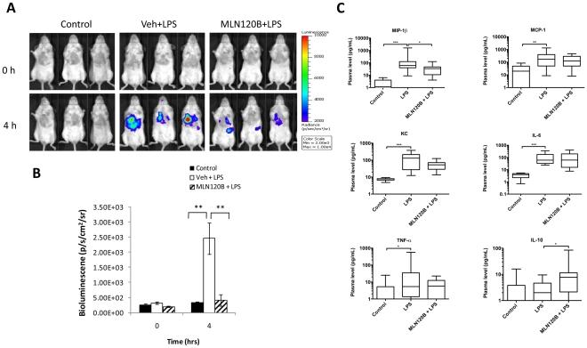 https://cdn.ncbi.nlm.nih.gov/pmc/blobs/7466/3178604/d99a11f9449c/pone.0025093.g005.jpg