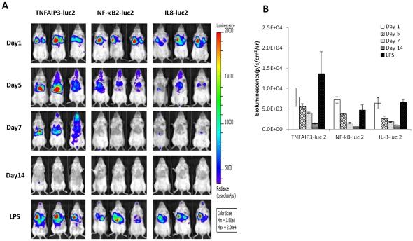 https://cdn.ncbi.nlm.nih.gov/pmc/blobs/7466/3178604/e2e84ac1f725/pone.0025093.g002.jpg