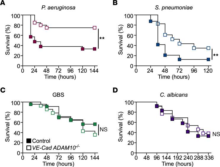 https://cdn.ncbi.nlm.nih.gov/pmc/blobs/7467/10688991/a4c7f8eb47f4/jci-133-168450-g040.jpg