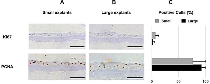 https://cdn.ncbi.nlm.nih.gov/pmc/blobs/7467/6413940/162fc556e18b/pone.0212524.g009.jpg
