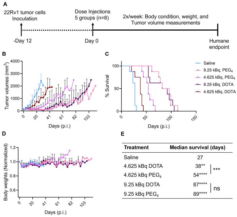 https://cdn.ncbi.nlm.nih.gov/pmc/blobs/7468/10879874/3f967553ce9b/thnov14p1344g005.jpg