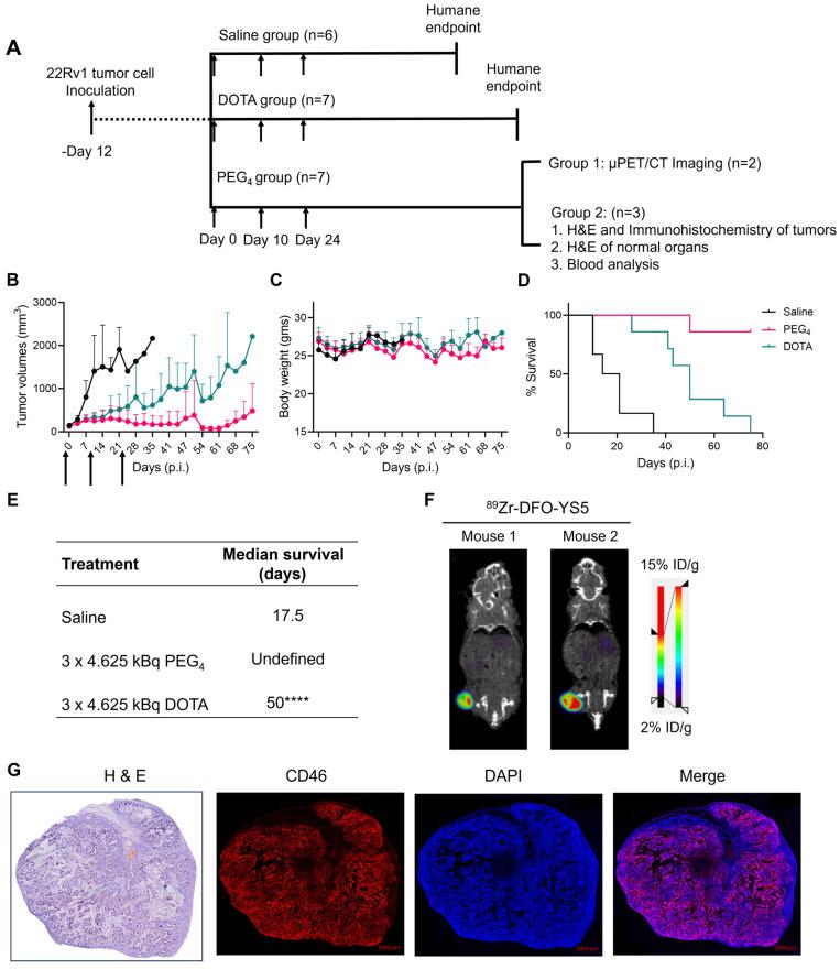 https://cdn.ncbi.nlm.nih.gov/pmc/blobs/7468/10879874/6e4ccedc5ec5/thnov14p1344g006.jpg