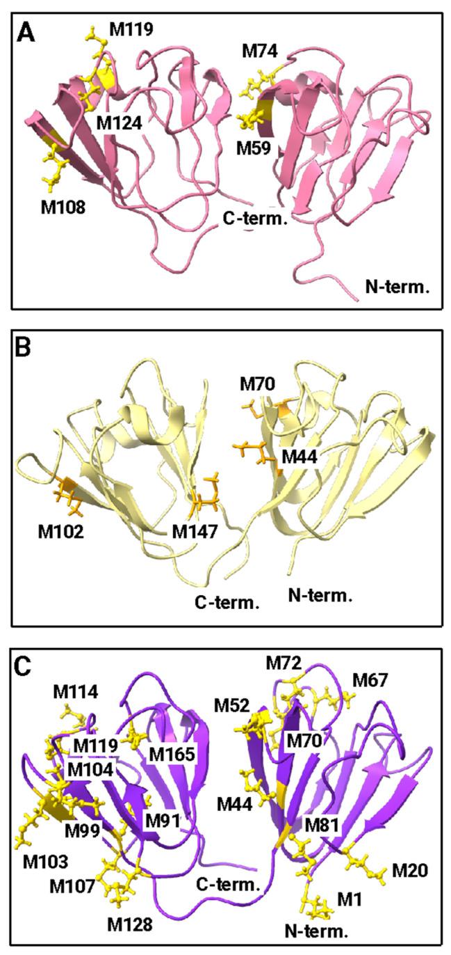 https://cdn.ncbi.nlm.nih.gov/pmc/blobs/7468/11118217/e564422b4386/biomolecules-14-00594-g005.jpg