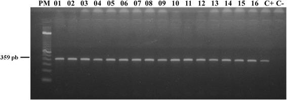 https://cdn.ncbi.nlm.nih.gov/pmc/blobs/746a/5787322/aeca07a76546/13071_2018_2641_Fig4_HTML.jpg