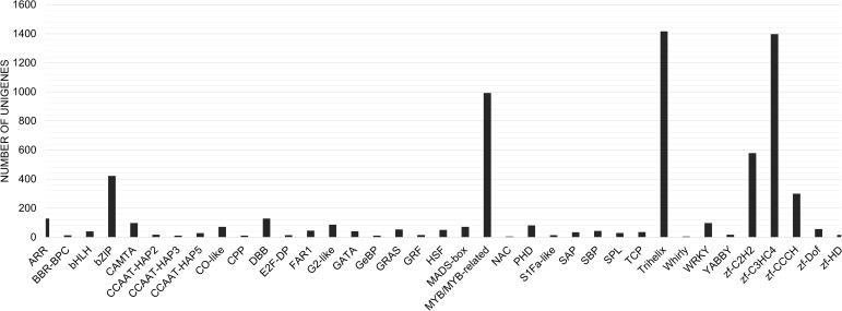 https://cdn.ncbi.nlm.nih.gov/pmc/blobs/746d/11165041/a62ce946edb3/fpls-15-1386041-g008.jpg