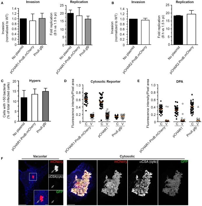 https://cdn.ncbi.nlm.nih.gov/pmc/blobs/746d/5696353/fd202f9a522b/fcimb-07-00475-g0007.jpg