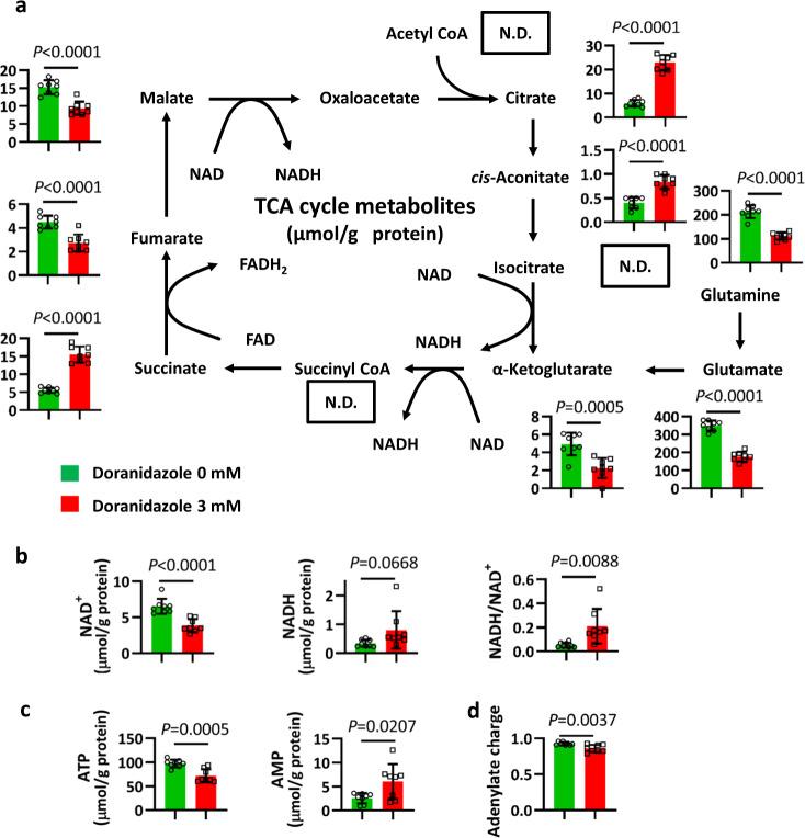 https://cdn.ncbi.nlm.nih.gov/pmc/blobs/746d/7431527/088c74d82db1/42003_2020_1165_Fig5_HTML.jpg