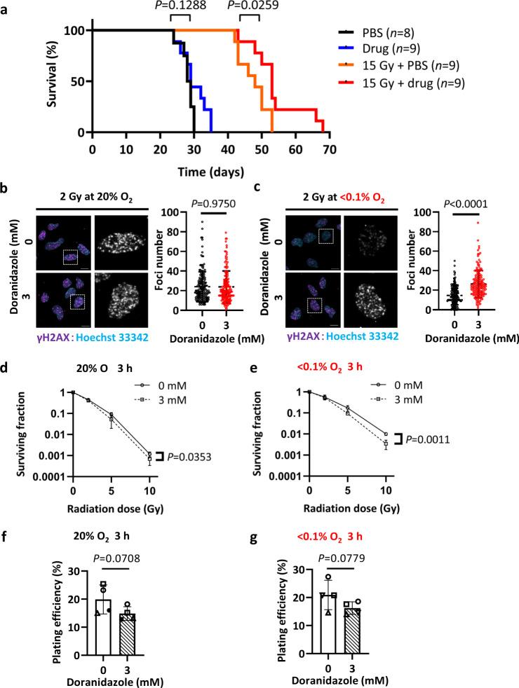 https://cdn.ncbi.nlm.nih.gov/pmc/blobs/746d/7431527/13221a46e435/42003_2020_1165_Fig1_HTML.jpg