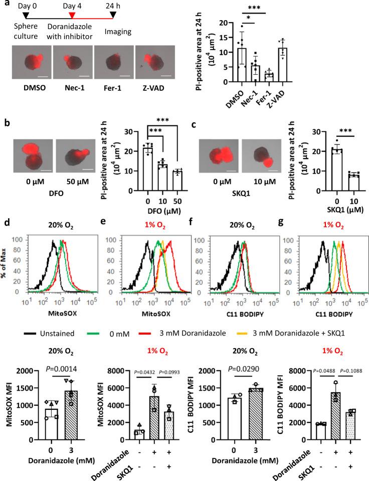 https://cdn.ncbi.nlm.nih.gov/pmc/blobs/746d/7431527/4baa3c01164b/42003_2020_1165_Fig3_HTML.jpg