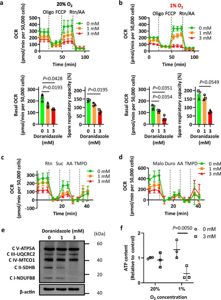 https://cdn.ncbi.nlm.nih.gov/pmc/blobs/746d/7431527/d992edca3694/42003_2020_1165_Fig4_HTML.jpg
