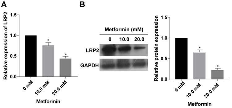 https://cdn.ncbi.nlm.nih.gov/pmc/blobs/7471/6954091/2240e4ffe90c/OTT-13-45-g0002.jpg