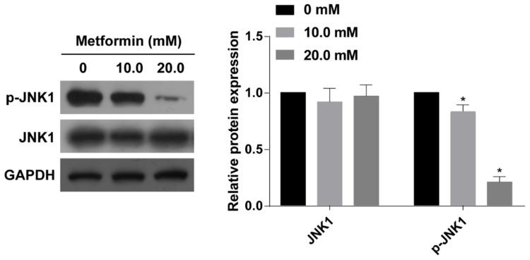 https://cdn.ncbi.nlm.nih.gov/pmc/blobs/7471/6954091/4f1e67ffb0b9/OTT-13-45-g0003.jpg