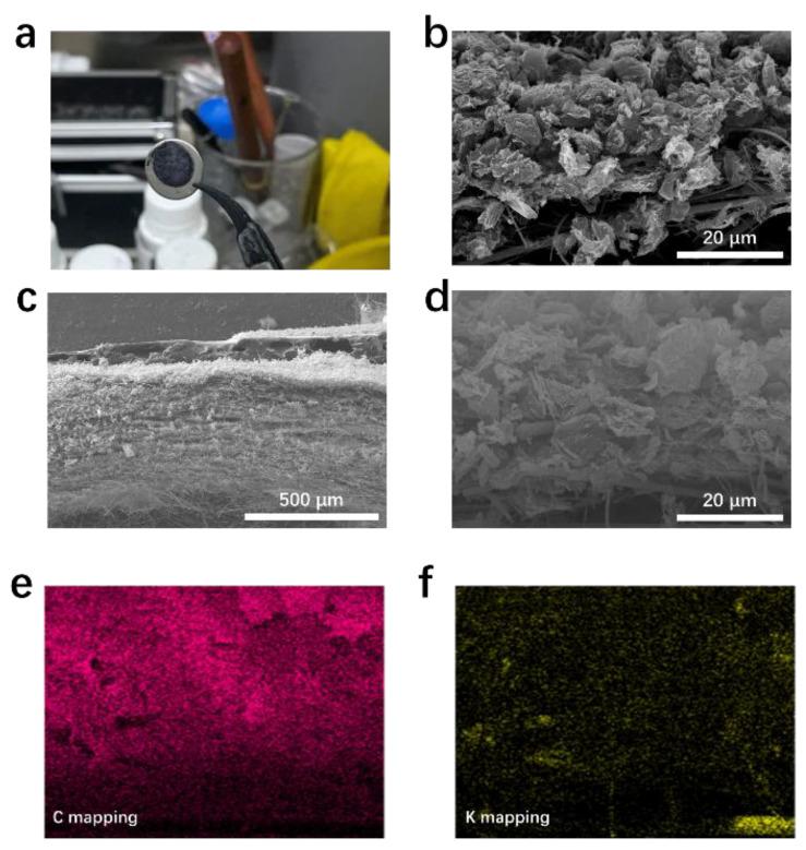 https://cdn.ncbi.nlm.nih.gov/pmc/blobs/7471/9412676/d10796d07bc3/materials-15-05505-g005.jpg