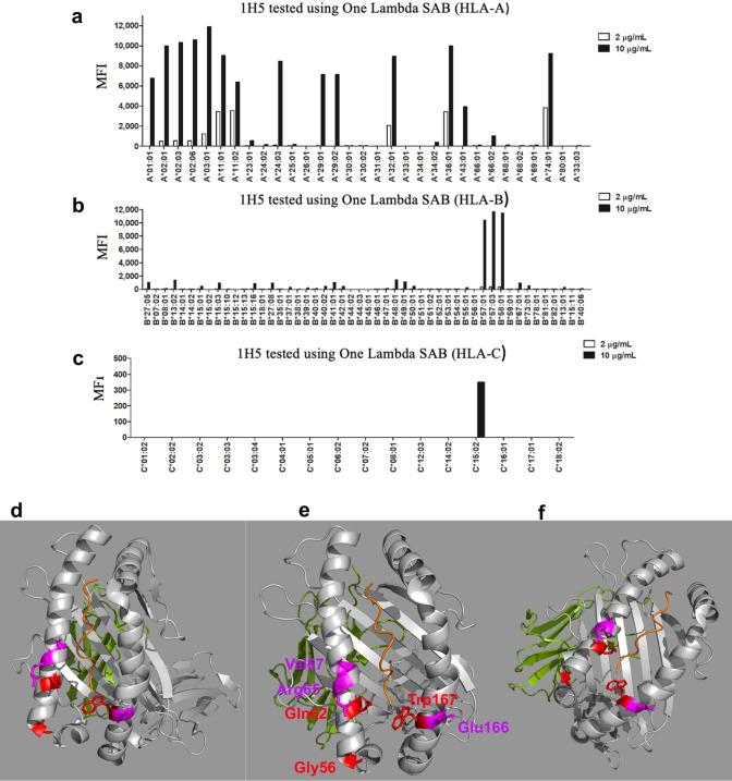https://cdn.ncbi.nlm.nih.gov/pmc/blobs/7472/11865395/660c30b49969/18_2025_5614_Fig6_HTML.jpg