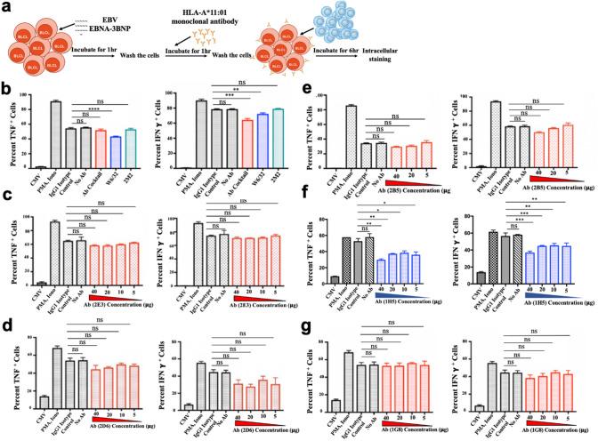 https://cdn.ncbi.nlm.nih.gov/pmc/blobs/7472/11865395/97f4fd81ed8f/18_2025_5614_Fig3_HTML.jpg