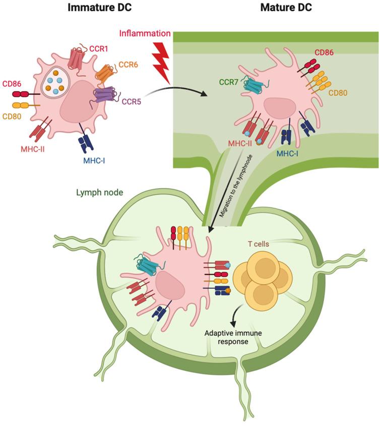 https://cdn.ncbi.nlm.nih.gov/pmc/blobs/7475/10535230/5a46c7d6f1ad/pharmaceutics-15-02254-g001.jpg