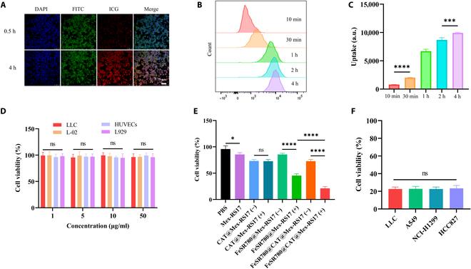 https://cdn.ncbi.nlm.nih.gov/pmc/blobs/7476/11883086/48bd35b756b1/bmr.0153.fig.003.jpg