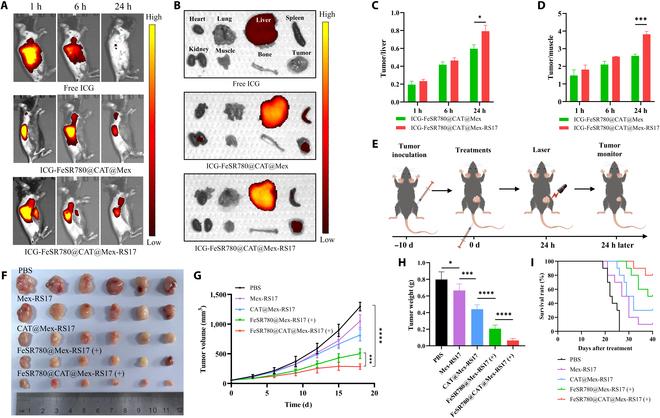 https://cdn.ncbi.nlm.nih.gov/pmc/blobs/7476/11883086/4c6cc70d3be1/bmr.0153.fig.007.jpg