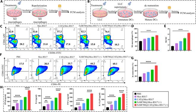 https://cdn.ncbi.nlm.nih.gov/pmc/blobs/7476/11883086/6a467c0d6656/bmr.0153.fig.006.jpg