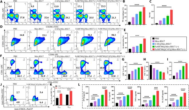 https://cdn.ncbi.nlm.nih.gov/pmc/blobs/7476/11883086/83cd75ab5373/bmr.0153.fig.009.jpg