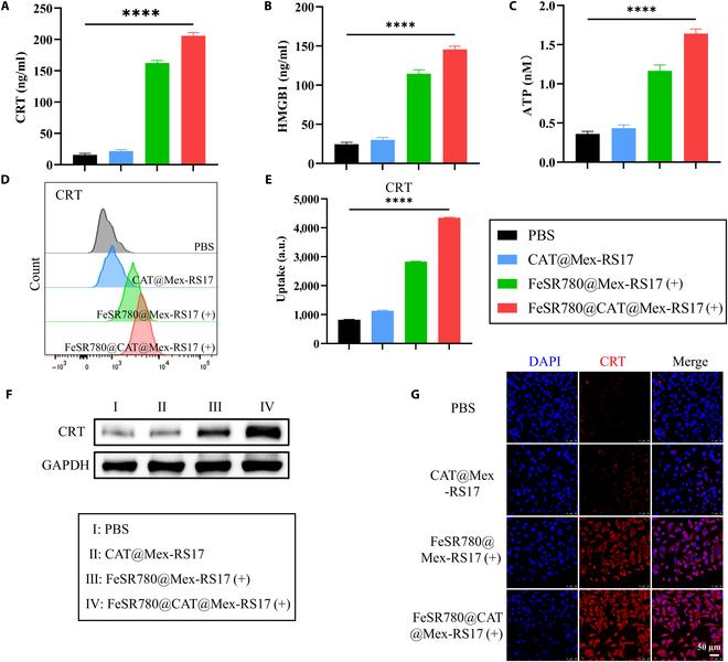https://cdn.ncbi.nlm.nih.gov/pmc/blobs/7476/11883086/b6d5b5ec96a6/bmr.0153.fig.005.jpg
