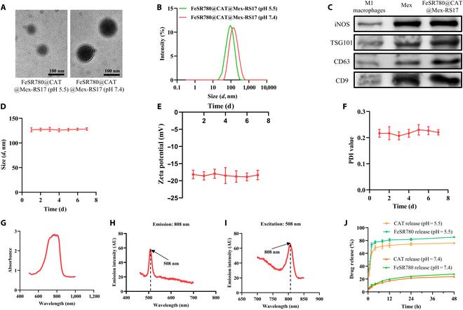 https://cdn.ncbi.nlm.nih.gov/pmc/blobs/7476/11883086/ba632ed31d8b/bmr.0153.fig.002.jpg