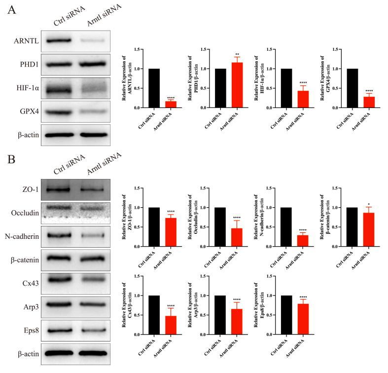 https://cdn.ncbi.nlm.nih.gov/pmc/blobs/7476/12242442/0ad4ec4c2802/gr6.jpg