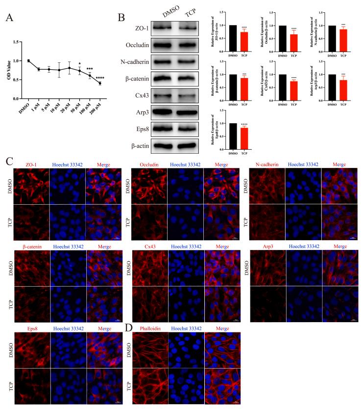 https://cdn.ncbi.nlm.nih.gov/pmc/blobs/7476/12242442/44250ad153fa/gr3.jpg