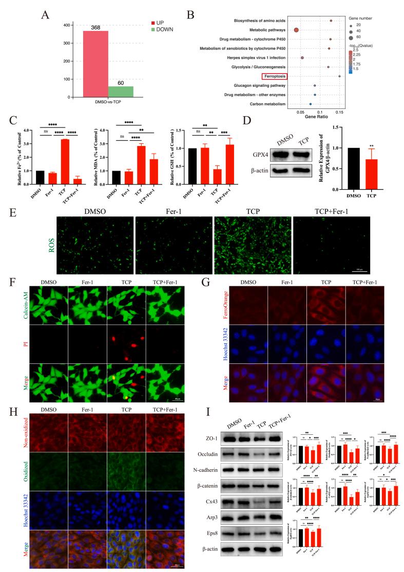 https://cdn.ncbi.nlm.nih.gov/pmc/blobs/7476/12242442/b0f7baea34e3/gr4.jpg