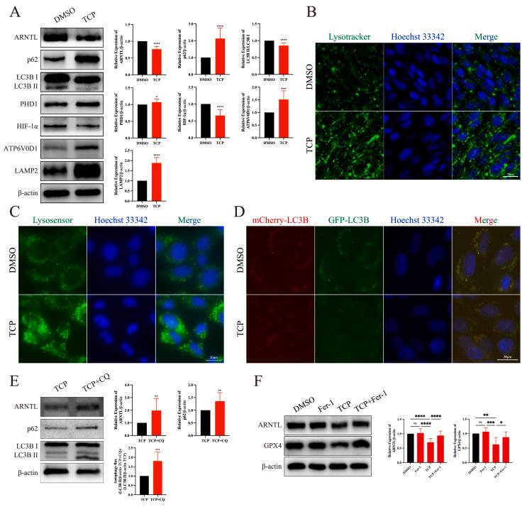 https://cdn.ncbi.nlm.nih.gov/pmc/blobs/7476/12242442/e8116f333f73/gr5.jpg