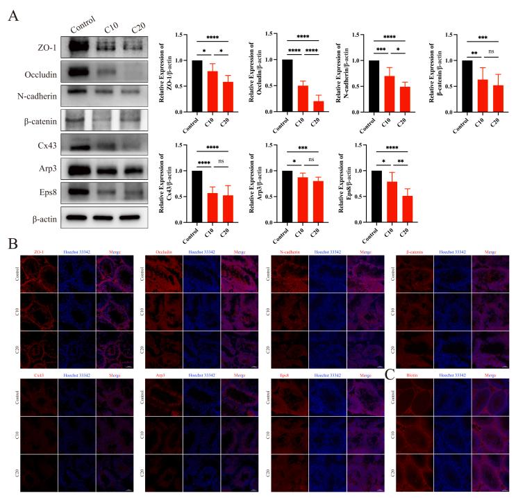 https://cdn.ncbi.nlm.nih.gov/pmc/blobs/7476/12242442/f5a2e504312b/gr2.jpg