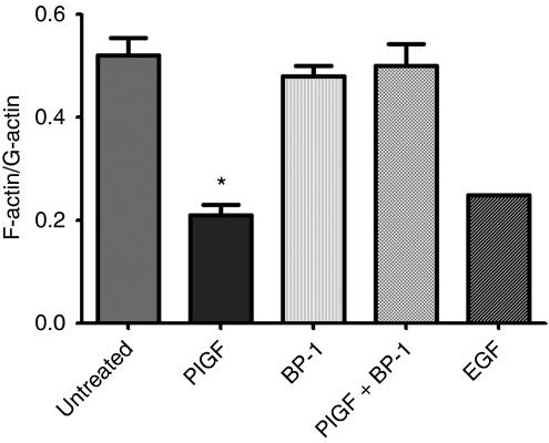 https://cdn.ncbi.nlm.nih.gov/pmc/blobs/7476/2905300/8d9abfea323f/6605746f4.jpg