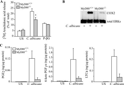 https://cdn.ncbi.nlm.nih.gov/pmc/blobs/7479/2945562/a1e9e7684ba5/zbc0411032190004.jpg