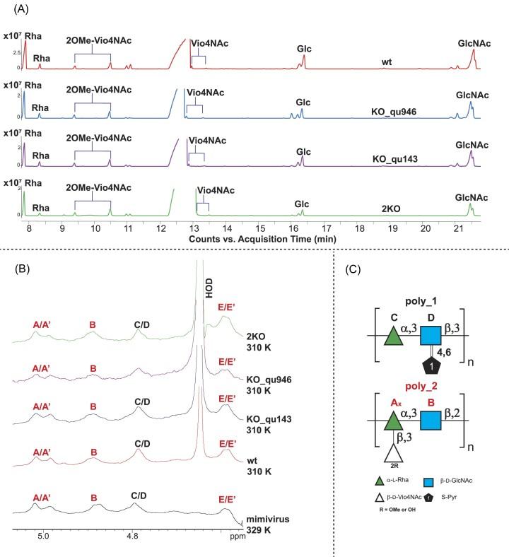 https://cdn.ncbi.nlm.nih.gov/pmc/blobs/747b/11042495/03a1c1e8afdd/uqae006fig5.jpg