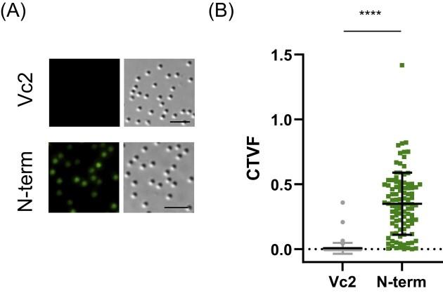 https://cdn.ncbi.nlm.nih.gov/pmc/blobs/747b/11042495/27e48d35916a/uqae006fig7.jpg