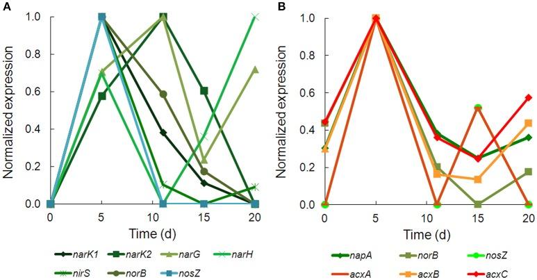 https://cdn.ncbi.nlm.nih.gov/pmc/blobs/747d/5264521/f88a0958f00c/fmicb-08-00040-g0005.jpg