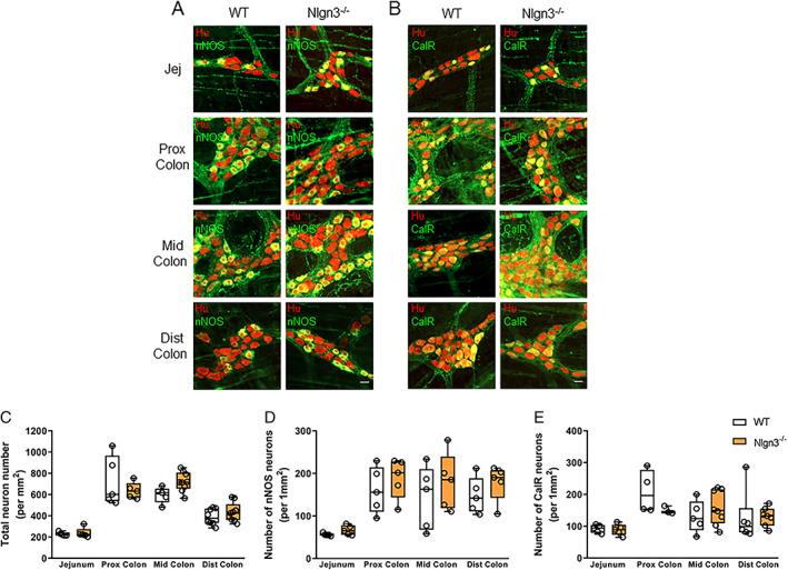 https://cdn.ncbi.nlm.nih.gov/pmc/blobs/747f/7317711/739e6a50fe18/AUR-13-691-g002.jpg