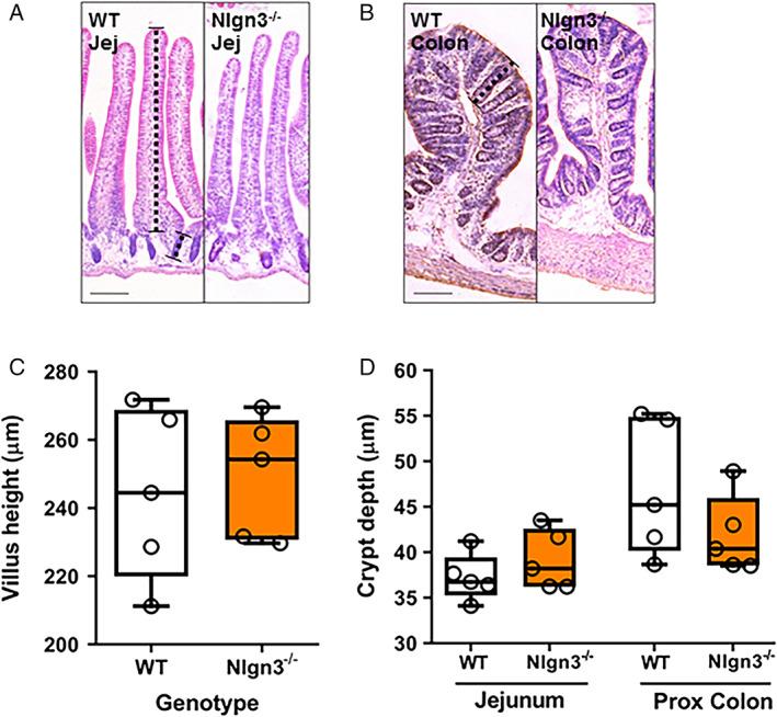 https://cdn.ncbi.nlm.nih.gov/pmc/blobs/747f/7317711/7be5ffe5d355/AUR-13-691-g001.jpg
